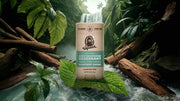 Rainforest Rapids Deodorant - Bright Daily Routine