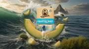 Coastal Mist - Premium Fresh Wash