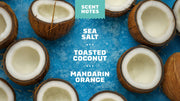 Coconut Castaway Conditioner - Active Shower Start