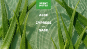 Cool Fresh Aloe Lotion - Essential Daily Touch