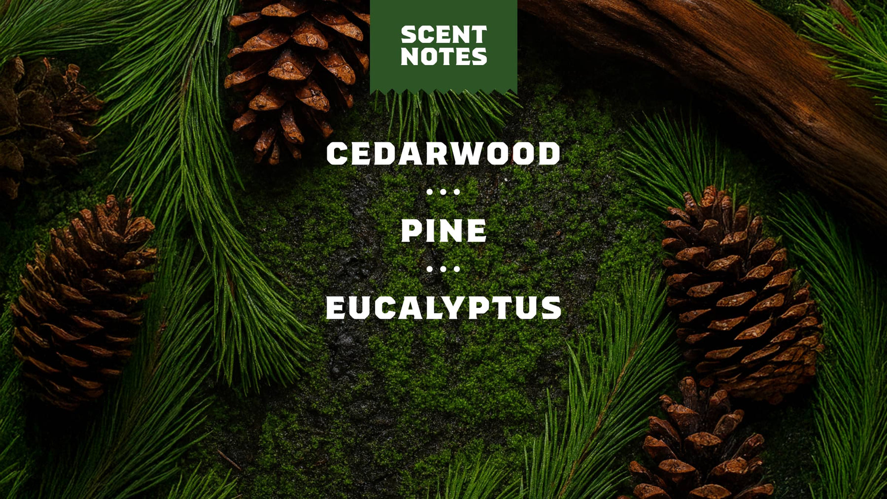 Pine Tar Lotion - Comfort Care