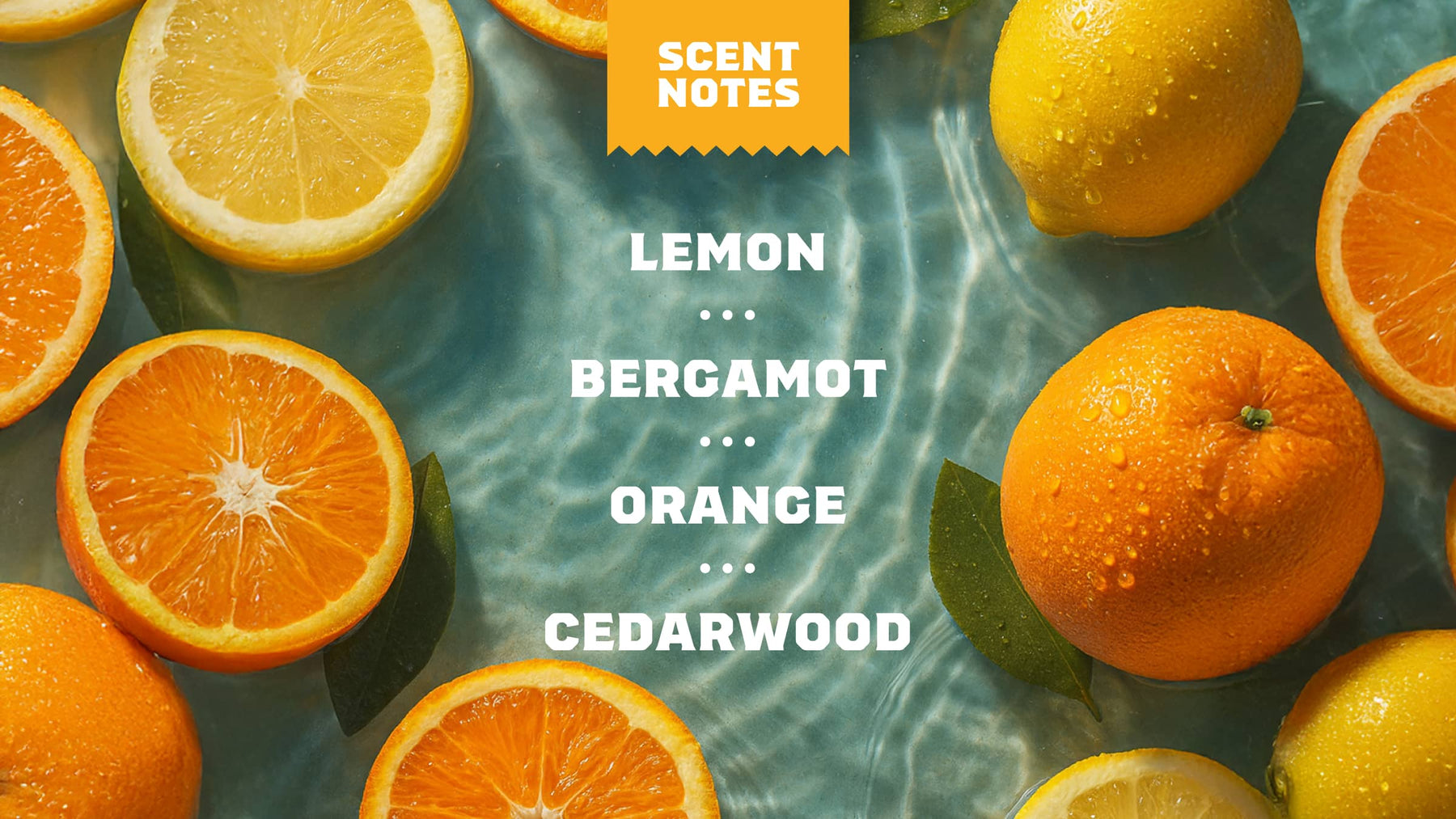 14 oz Summer Citrus Body Wash - Easy Outdoor Routine