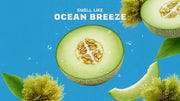 Coastal Mist - Premium Fresh Wash