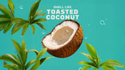 Coconut Castaway Shampoo - Thick Daily Routine