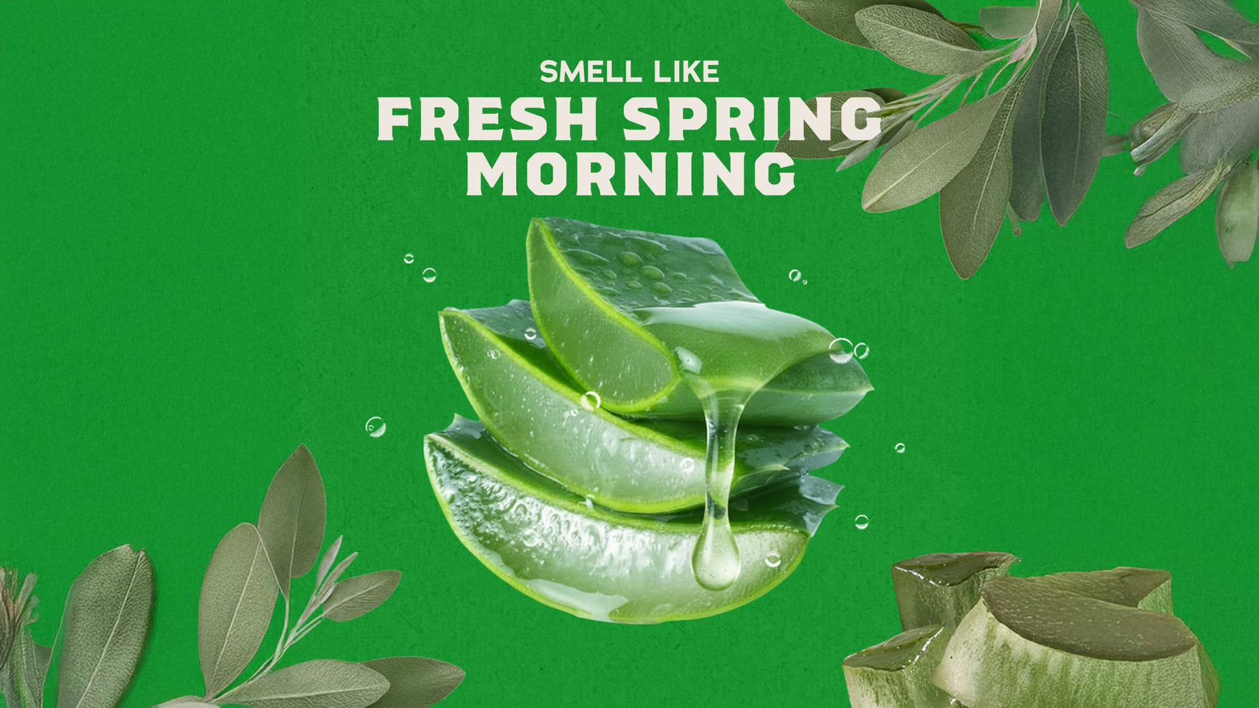 Cool Fresh Aloe Exfoliating Face Wash - Easy Fresh Finish