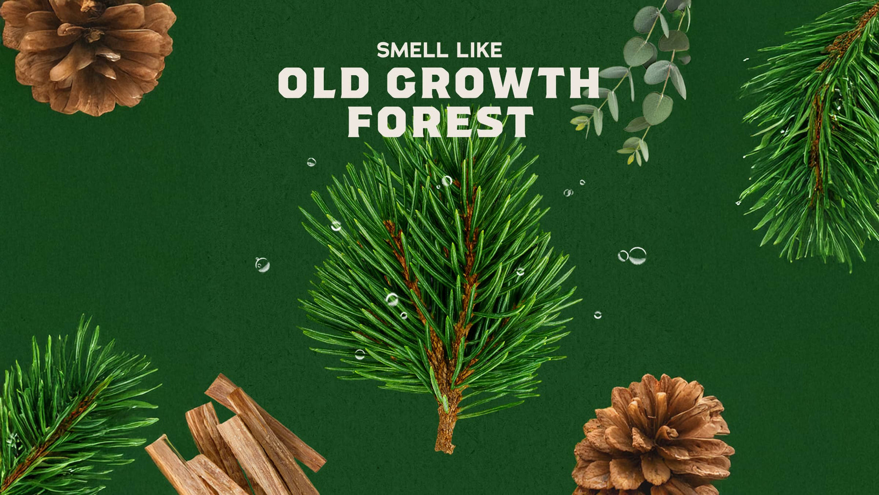 Woodland Pine Cologne - Cabin Ready